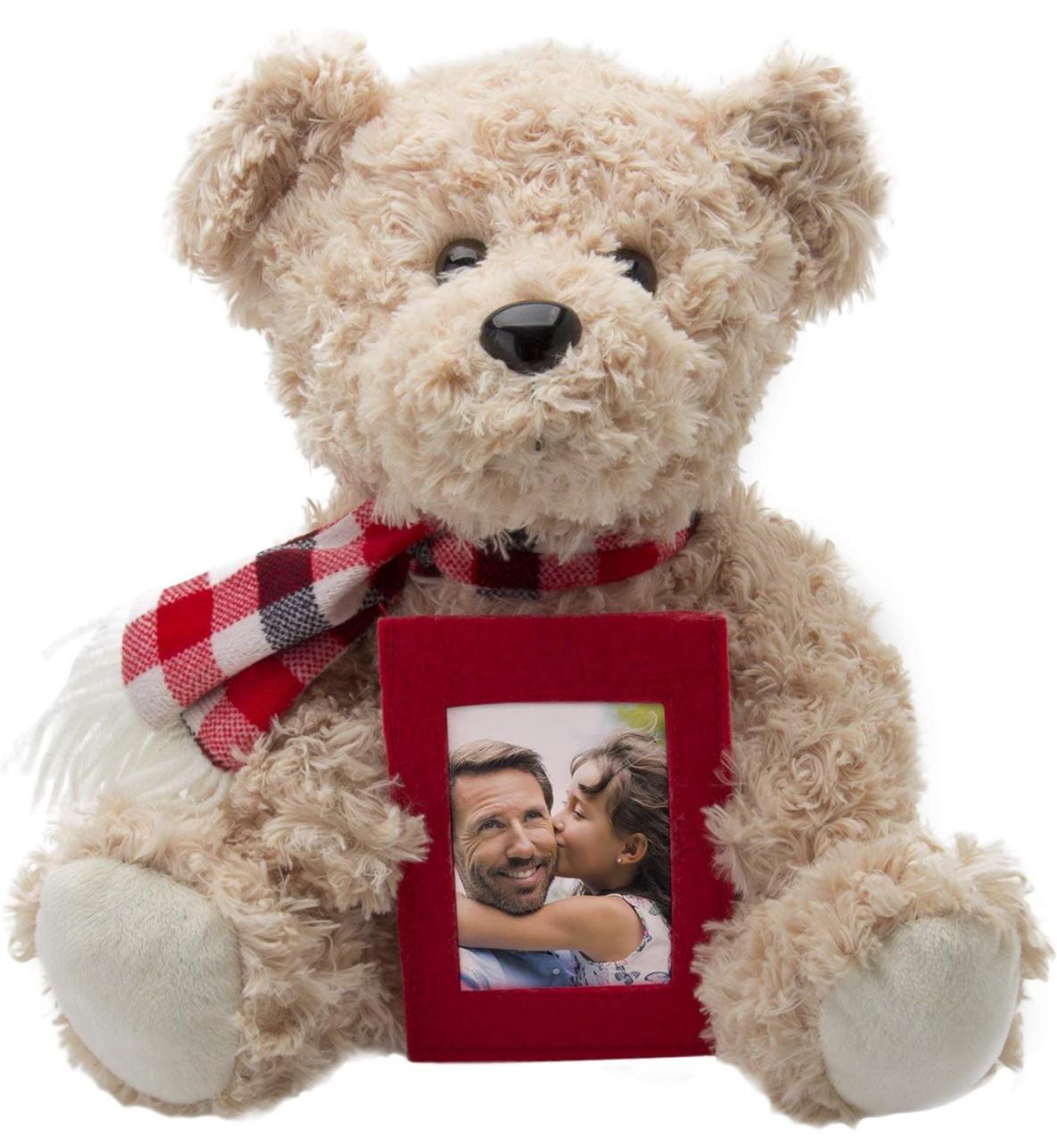 Couples Bear with picture frame